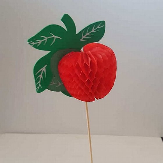 ����� ���� ���� 6 ��