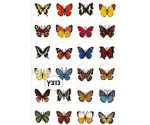 ������ ���� - ������ 4 ����� 10 ��