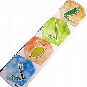 סט חיתוכי ארבעת המינים - 20 יח' סט חיתוכי ארבעת המינים - 20 יח'