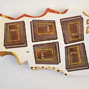 �� ����� ������ - 20 ��'