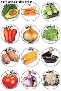 ������ ����� ����, 10 ��