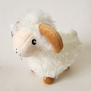 ���� ���� 