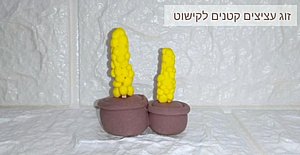 ������ ������ ����� ����