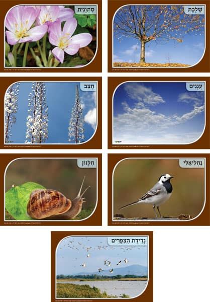 ערכת המחשה 'מבשרי הסתיו' | סתיו וחורף - בוקר | נושאים בגן | סיטי גן