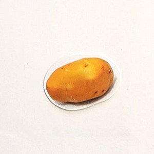 ����� ���� ���� , 40 ��'