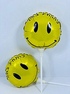 ���� ������ '������ ����� ' , 20 ��'