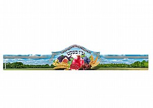 ��� �''� ���� - ���� ������ , �� ��� ���� , 20 ��'