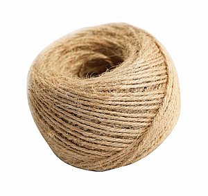 ���� ��� 100 ���