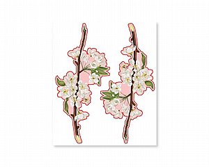 חיתוכי פרחי שקדיה , 20 יח' חיתוכי פרחי שקדיה , 20 יח'