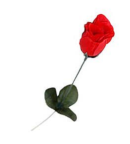 ורד ארוז בצלופן ורד ארוז בצלופן