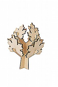 �� ��� ���� �� ���� , ������ ������ 