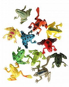 ���� ������� , 12 ��'