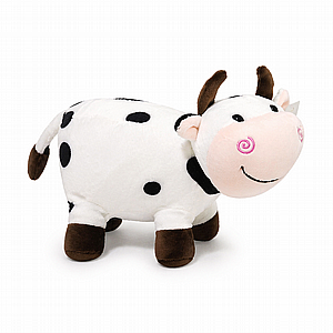 ���� ��� ������� ���� 23 �"� � ������ ������ �� ���� ����